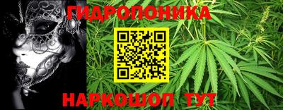 трава Пенза