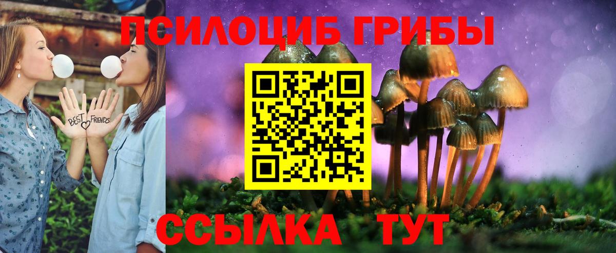 Псилоцибиновые грибы ЛСД Похвистнево