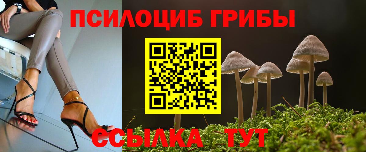 Псилоцибиновые грибы ЛСД  Псилоцибиновые грибы прущие грибы  Вход с VPN  Похвистнево 